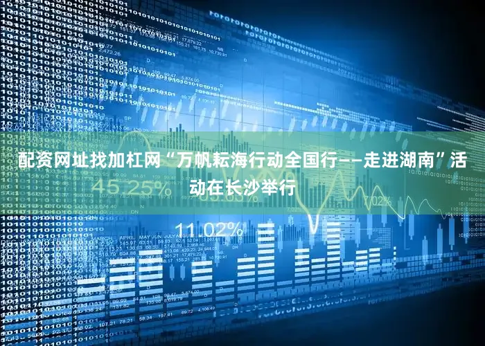 配资网址找加杠网“万帆耘海行动全国行——走进湖南”活动在长沙举行