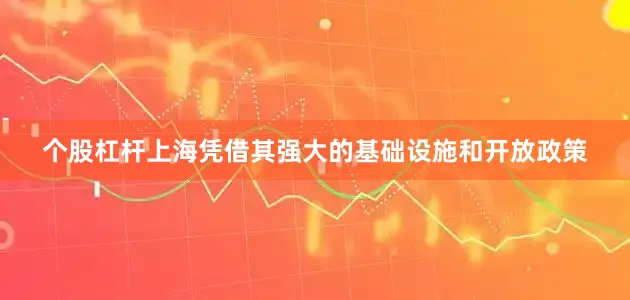 个股杠杆上海凭借其强大的基础设施和开放政策