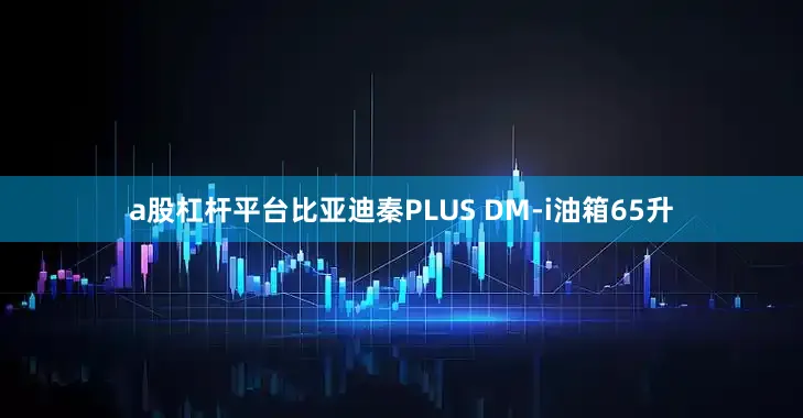 a股杠杆平台比亚迪秦PLUS DM-i油箱65升