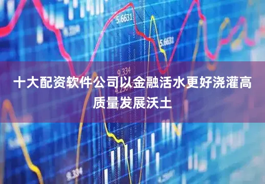 十大配资软件公司以金融活水更好浇灌高质量发展沃土