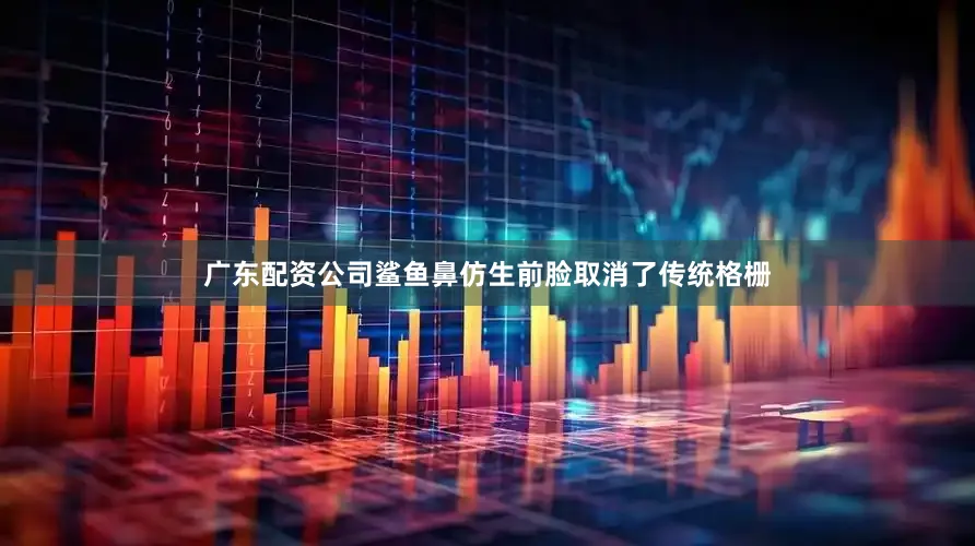 广东配资公司鲨鱼鼻仿生前脸取消了传统格栅